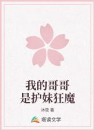 我的哥哥是护妹狂魔