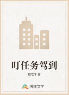 叮任务驾到