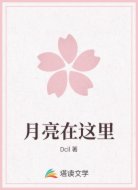 月亮在这里