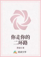 你走你的二环路