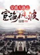 穿越大唐之宦海風(fēng)波