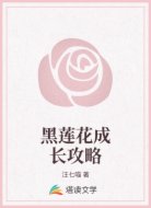 黑莲花成长攻略