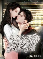 帝少强宠甜忆妻