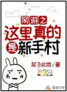 网游之这里真的是新手村