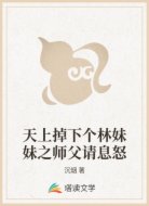 天上掉下个林妹妹之师父请息怒