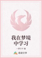 我在梦境中学习