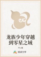 龙族少年穿越到零星之域