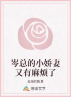 岑总的小娇妻又有麻烦了