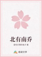 北有南乔