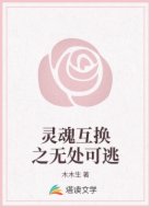 灵魂互换之无处可逃