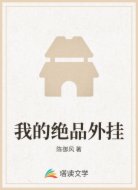我的绝品外挂