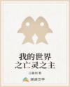 我的世界之亡靈之主