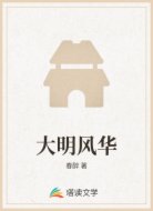 大明风华