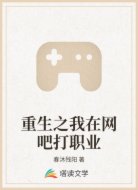 重生之我在网吧打职业