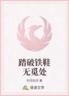 踏破铁鞋无觅处