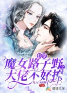 快穿魔女路子野之大佬不好撩