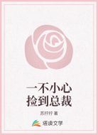 一不小心捡到总裁