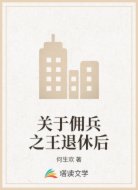 关于佣兵之王退休后