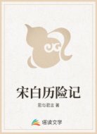 宋白历险记