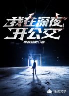 我在深夜开公交