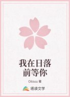 我在日落前等你