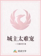 城主太难宠