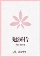 魅徕传