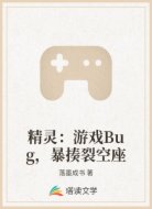 精灵：游戏Bug，暴揍裂空座