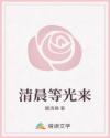 清晨等光來