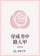 穿成书中路人甲