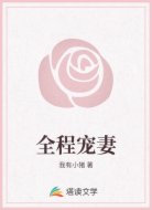 全程宠妻
