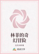 林菲的奇幻冒险