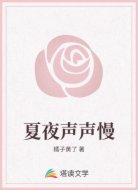 夏夜声声慢