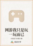 网游我只是玩一玩而已