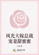 风光大嫁总裁宠妻甜蜜蜜