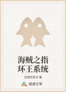 海贼之指环王系统