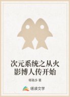次元系统之从火影博人传开始