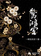 惊鸿客壹