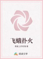 飞蛾扑火