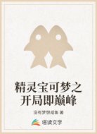 精灵宝可梦之开局即巅峰
