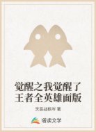 觉醒之我觉醒了王者全英雄面版