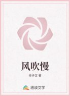 风吹慢
