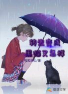 转生变成黑猫又怎样