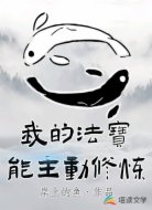 我的法宝能主动修炼