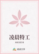 凌晨特工