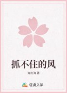 抓不住的风