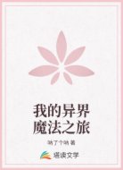 我的异界魔法之旅