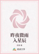 昨夜微雨入星辰