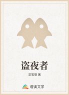盗夜者