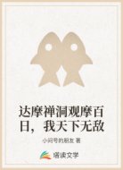 达摩禅洞观摩百日，我天下无敌